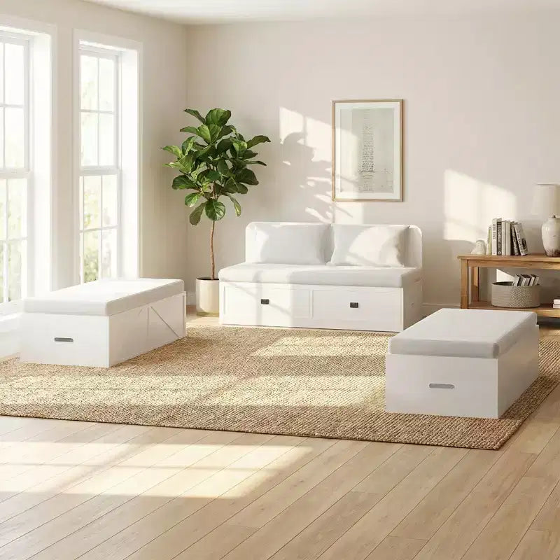Divano letto convertibile con contenitore, letto a scomparsa, Piazza e Mezza/Matrimoniale, Materasso Non Incluso